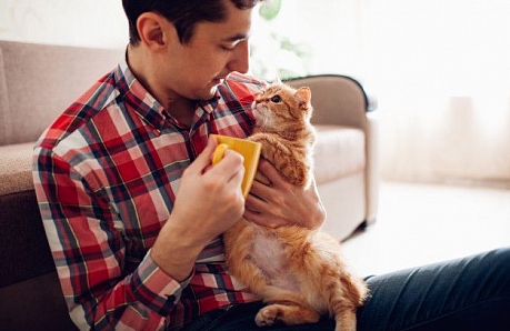 Так ли нужен нам имбирь? Мнение гастроэнтеролога