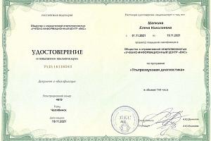 Шапкина Елена Николаевна - фото 2