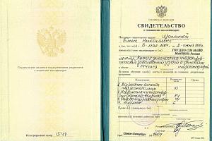 Шапкина Елена Николаевна - фото 2