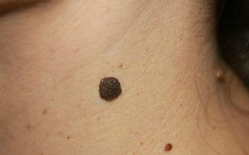 Статьи - фото 2