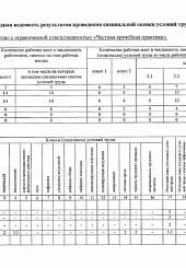 Сводня ведомость 2021 год 1 стр.