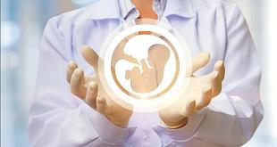 Планирование беременности - фото 2