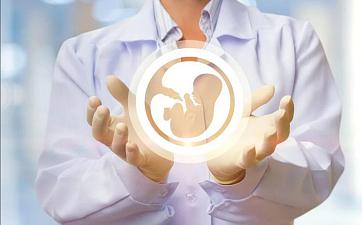 Статьи - фото 2