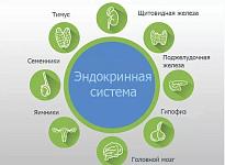 Лечение в медицинском центре Частная врачебная практика - фото 16