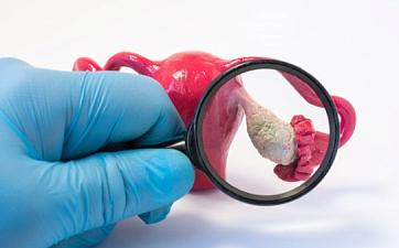 Статьи - фото 2