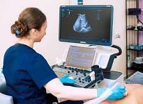 УЗИ органов брюшной полости - фото 2