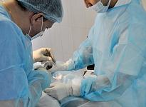 Отделение урологии и андрологии - фото 12