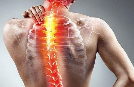 Здоровый позвоночник за месяц