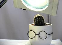 Отделение колопроктологии в Челябинске - фото 2