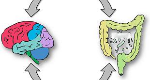 Отделение гастроэнтерологии в Челябинске - фото 12