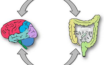 Статьи - фото 2