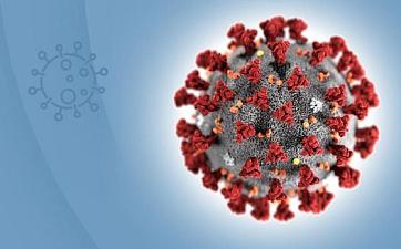 Новости и акции - фото 3
