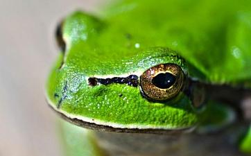 Новости и акции - фото 2