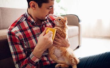 Новости и акции - фото 2