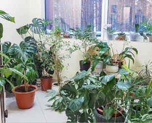 Пункция молочной железы - фото 2